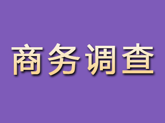 龙陵商务调查